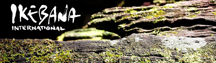Wahiawa
        Botanical Garden