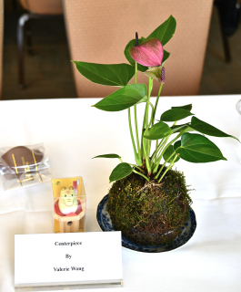 Valerie
                            Wong's kokedama (moss ball)