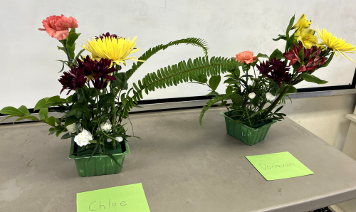 finihed
                          arrangements