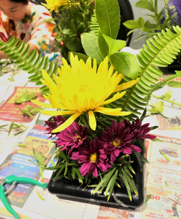 student
                          arrangement