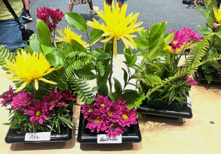 student
                          arrangements