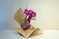 Pat Kimoto's arrangement