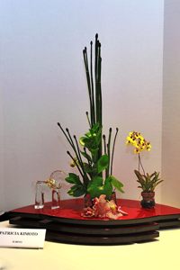 Patricia's arrangement