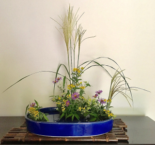Saga Goryu moribana field scene